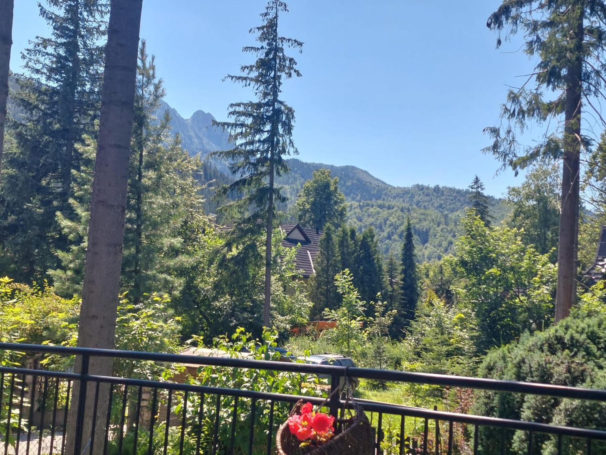 Dom Pod Skocznia Apartment Zakopane Exterior foto