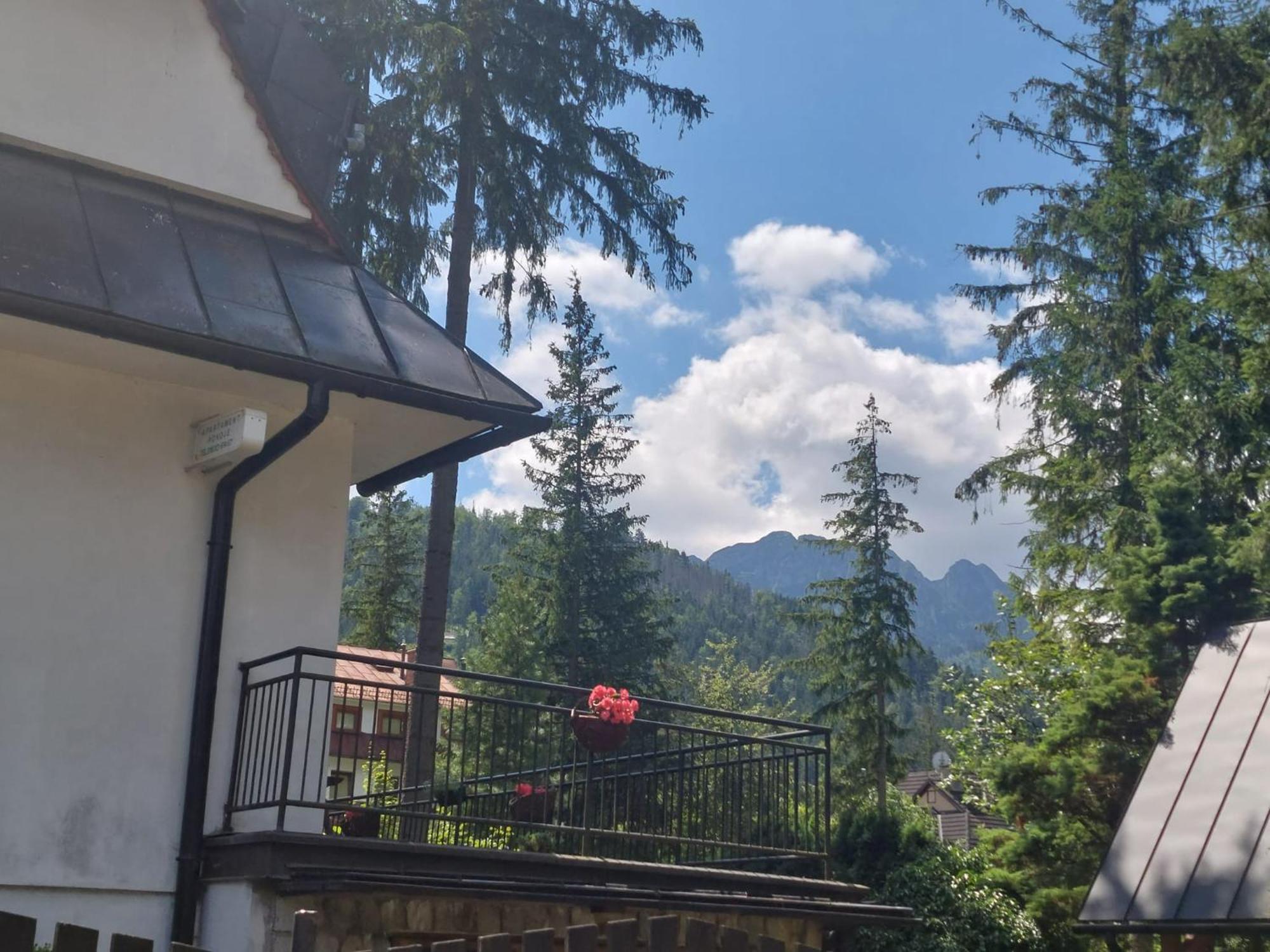 Dom Pod Skocznia Apartment Zakopane Exterior foto