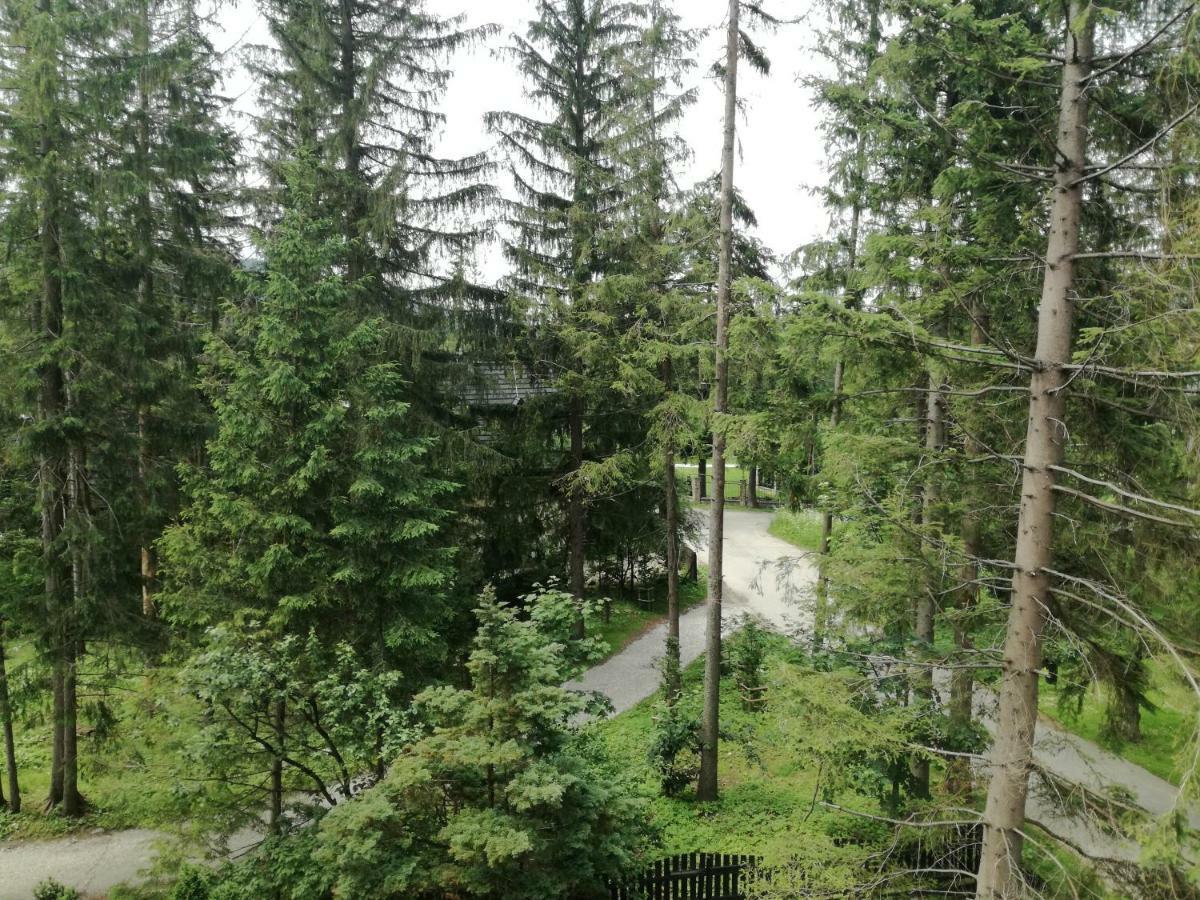 Dom Pod Skocznia Apartment Zakopane Exterior foto
